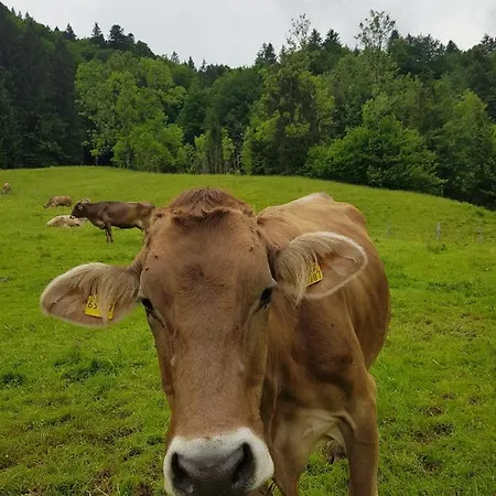 Im Kuhlen Allgaeu Apartamento Missen-Wilhams