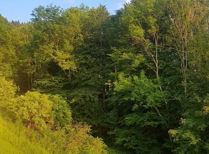 Appartement Im Kuhlen Allgaeu