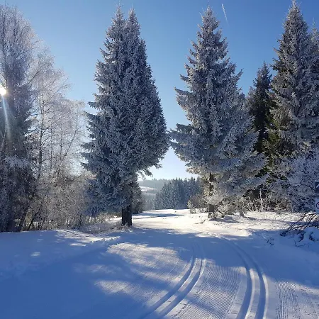 公寓 Im Kuhlen Allgaeu 米森-维尔哈姆斯