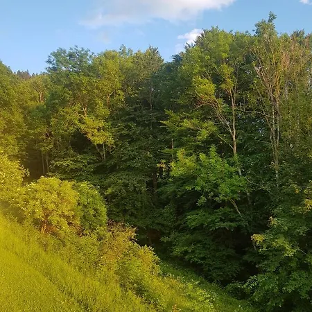 公寓 Im Kuhlen Allgaeu