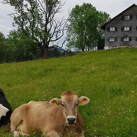 公寓 Im Kuhlen Allgaeu 米森-维尔哈姆斯
