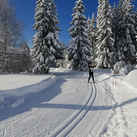 公寓 Im Kuhlen Allgaeu