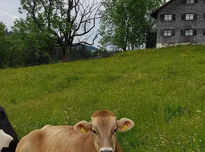 Appartamento Im Kuhlen Allgaeu Missen-Wilhams