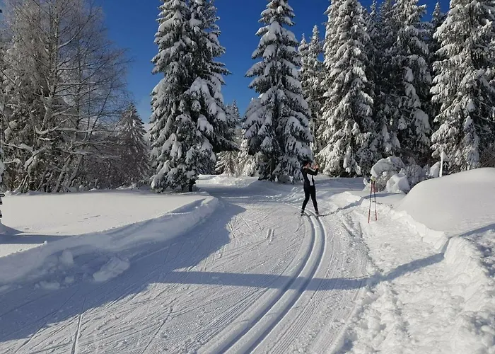 Appartamento Im Kuhlen Allgaeu
