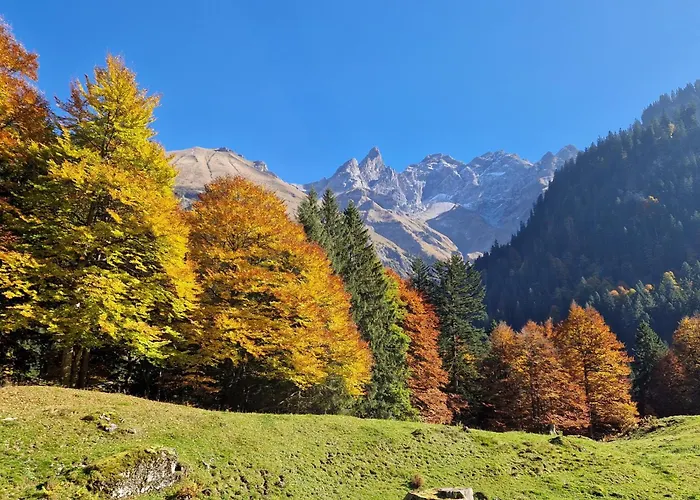 Im Kuhlen Allgaeu Appartamento *